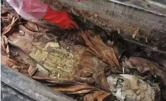 让世界震悚的19个未解之谜,千年无解!-第8张图片-大千世界 让世界震悚的19个未解之谜,千年无解!-第8张图片-大千世界