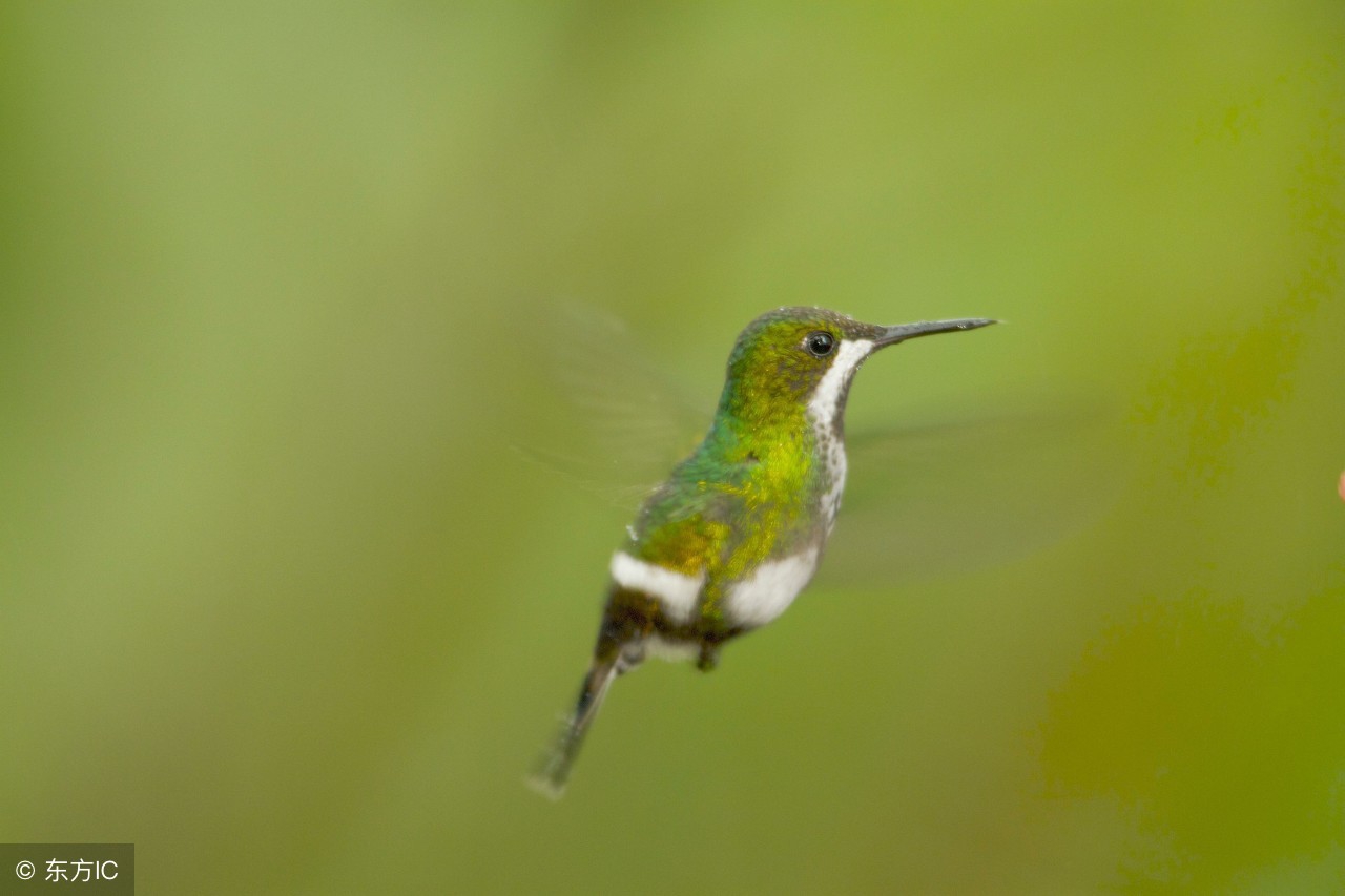 莎士比亚、马尔克斯、海明威等14位文豪穿透心灵的名句