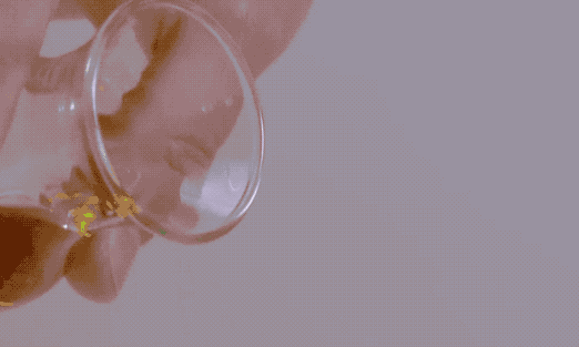 圖片[8]-奶奶用韭菜涼拌雞蛋頭一次見原來還能這樣吃剛做好就搶光了-起舞食譜網