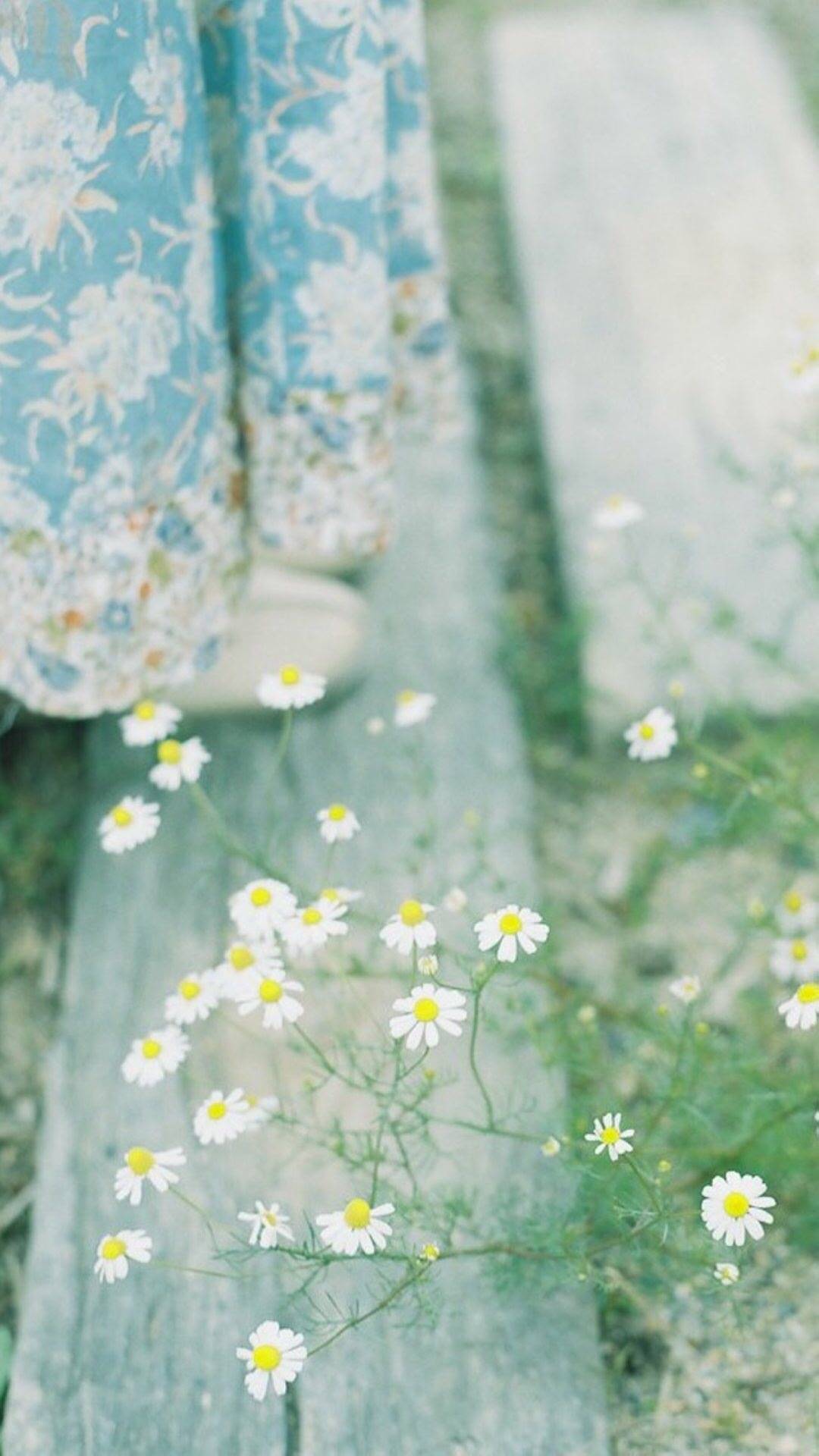 唯美图片意境个性意境唯美