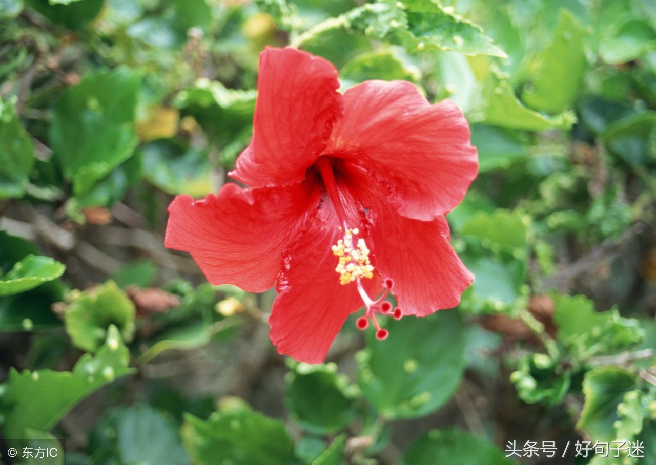 微信朋友圈送别朋友的祝福语 祝愿所有的老同学幸福平安图片
