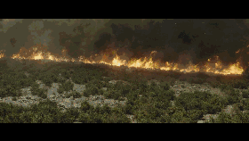 近10年最高分灾难片，真实故事改编，看完想不哭太难