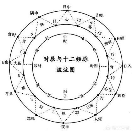 中医养生：如何规划每天的养生时间，-第1张图片-农百科