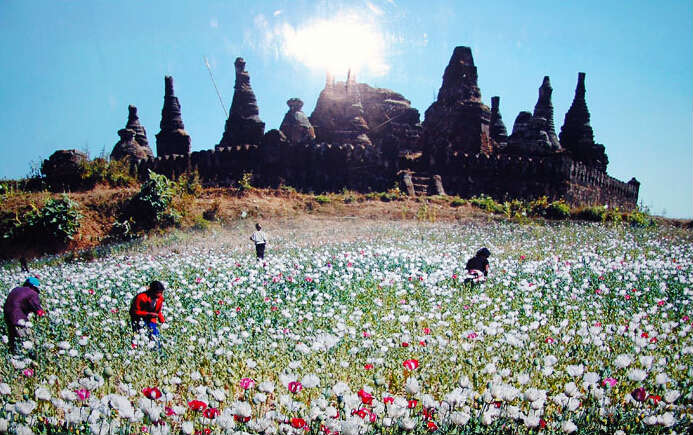 世界三大毒品源之金三角详解介绍