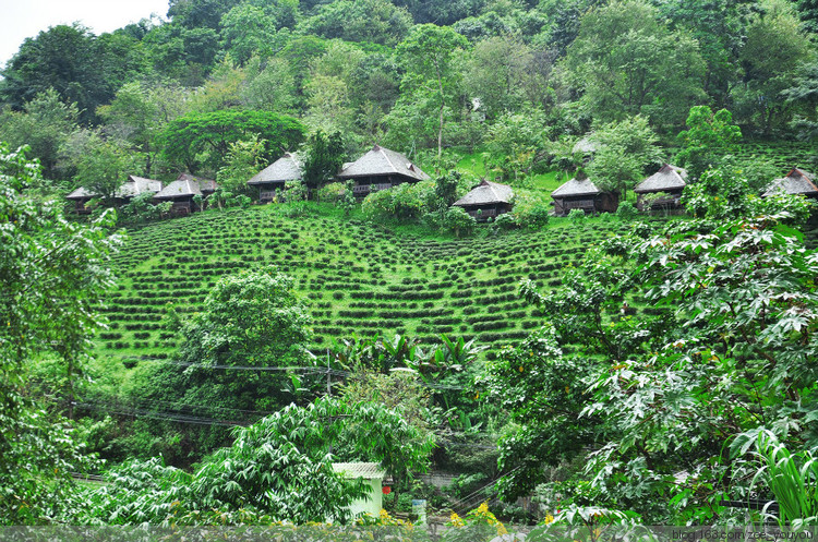 世界三大毒品源之金三角详解介绍