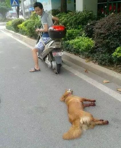 谨慎观看：丧片界的巅峰，无数人看完后抑郁到想死