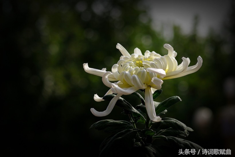 爱国情怀绝妙诗词十首，这才是铁骨铮铮的英雄气概-第7张图片-非凡网