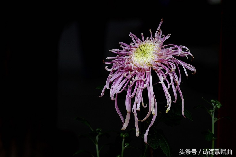 爱国情怀绝妙诗词十首，这才是铁骨铮铮的英雄气概-第12张图片-非凡网