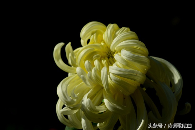 爱国情怀绝妙诗词十首，这才是铁骨铮铮的英雄气概-第13张图片-非凡网