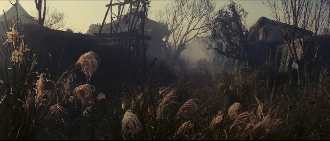 这部武侠片神作，李安、张艺谋向它致敬，因为实在太难超越