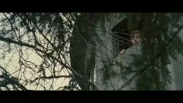 这部口碑炸裂的R级片,道尽了青春期的烦恼