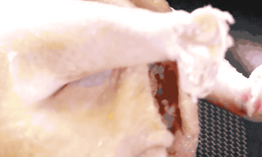 图片[2]-榴莲炖鸡做法步骤图 鸡汤真是太鲜了-起舞食谱网