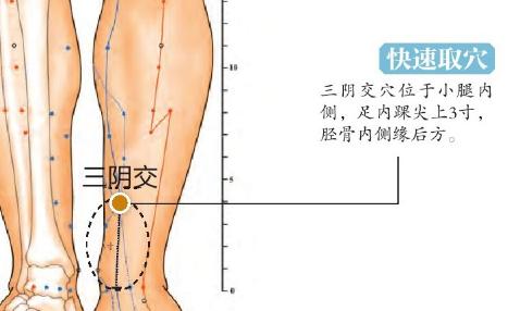 美颜美容，推荐一个穴位-第2张图片-农百科