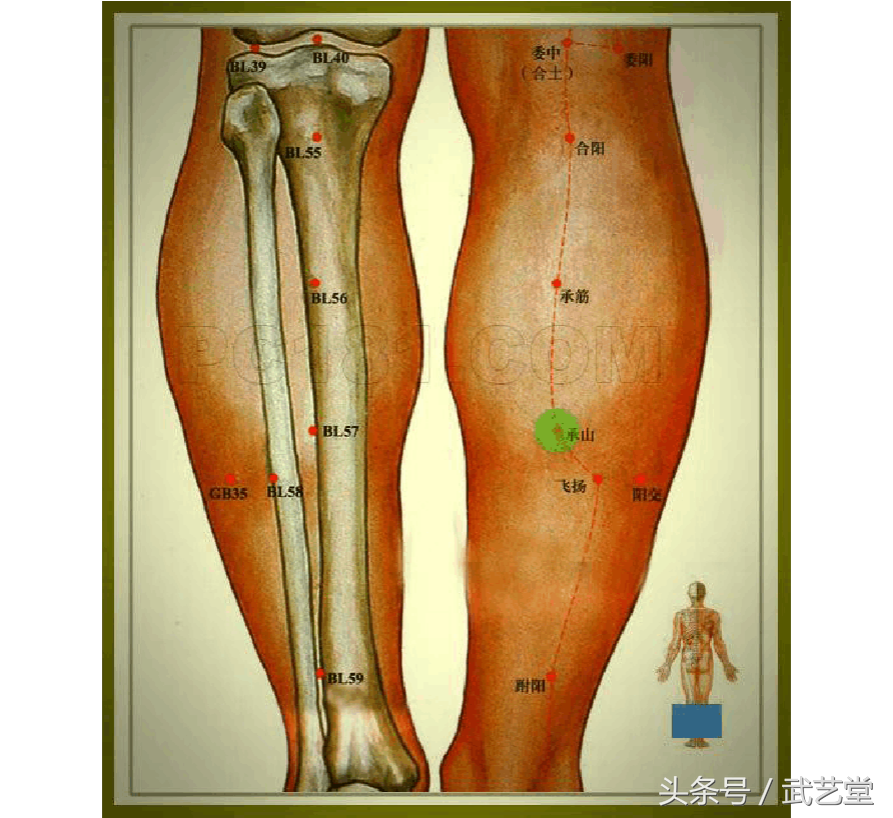 强身绝技 天星十二穴(上)