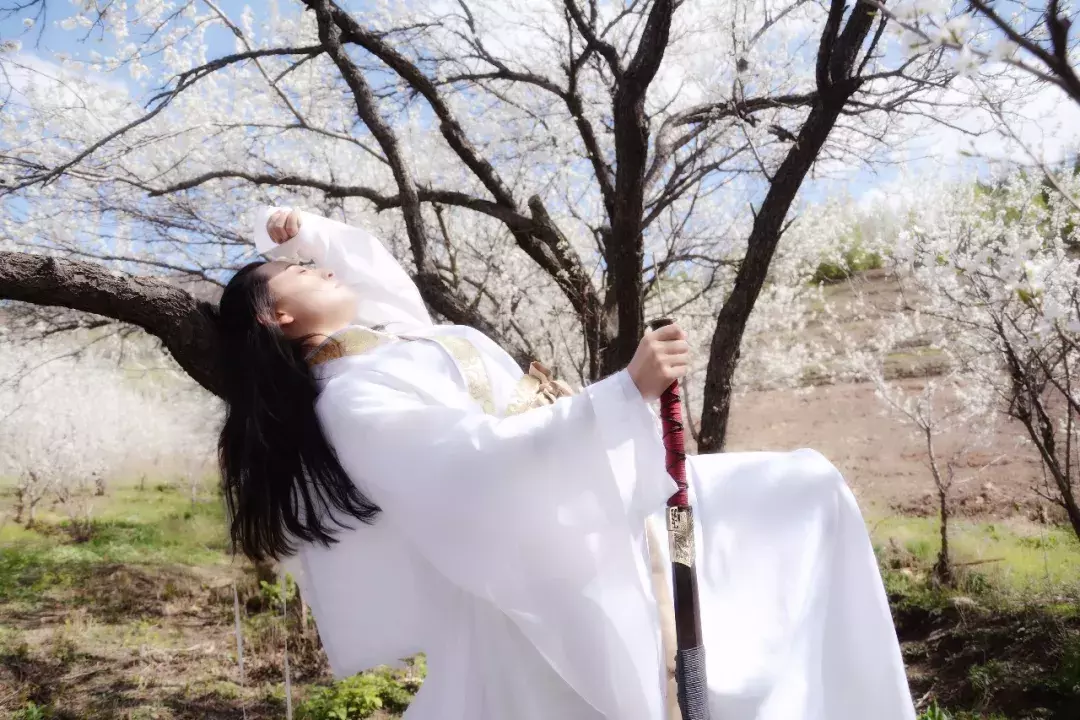 我为桦树代言——晚李花篇