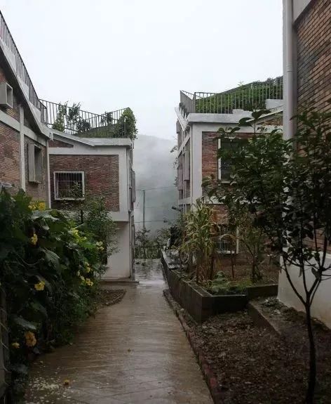 两个中国设计师的农村项目，竟吊打国外顶级豪宅，当选全球最佳住宅TOP10