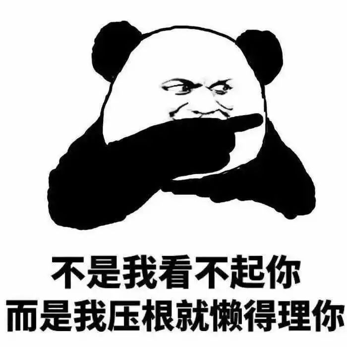 原来大家单身的理由都这么粗暴，还敢说你们没人要？