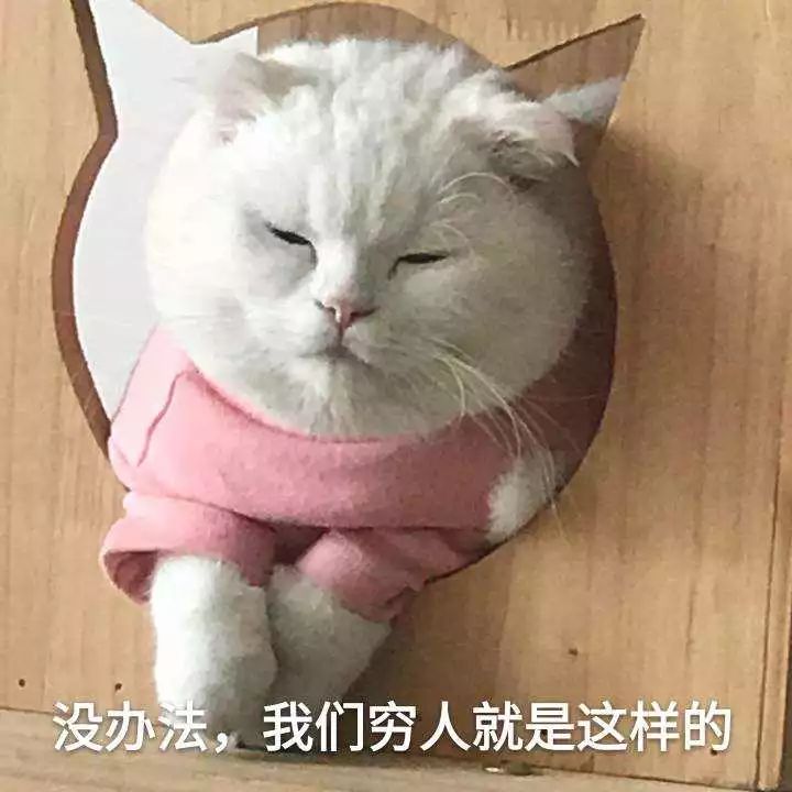 原来大家单身的理由都这么粗暴，还敢说你们没人要？