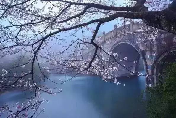 南怀瑾七句经典格言,道出人生真谛!