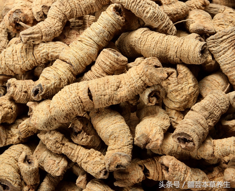 认识中药:巴戟天