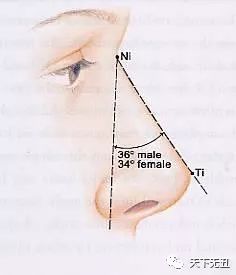 告诉你什么叫一个鼻子拯救一张脸