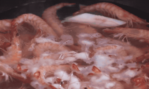 图片[4]-做法步骤图 白灼大虾你真的做对了吗原来白灼大虾煮的时间这么-起舞食谱网
