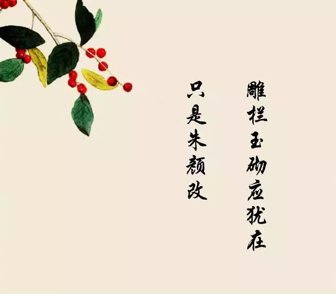 一尘不染的古风仙句 淡雅唯美古风意境句子 图片