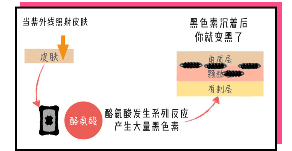 肌肤美白终极指南，想要白成反光板-第16张图片-农百科