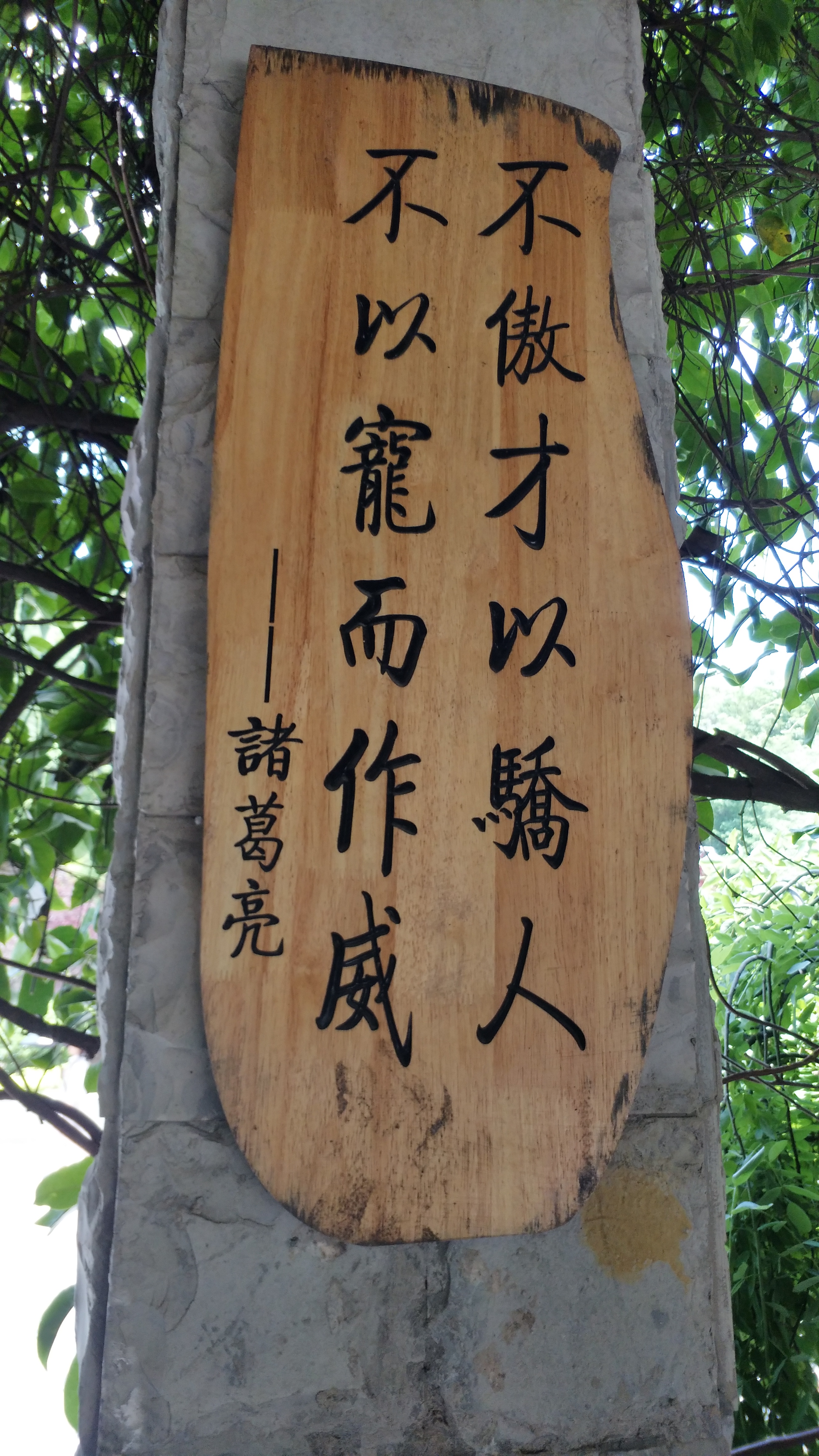 美丽的校园廊道,名家名言挂墙,时时教育学子,督促学子造成才