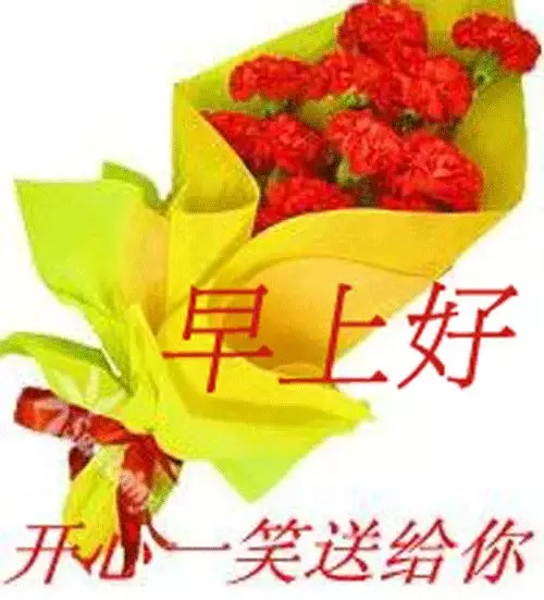 往后余生，愿你活得像一朵花的句子感悟