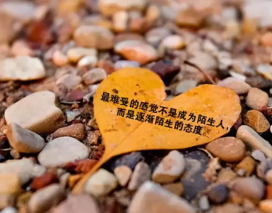 晚安的句子 简单晚安语录个性说说