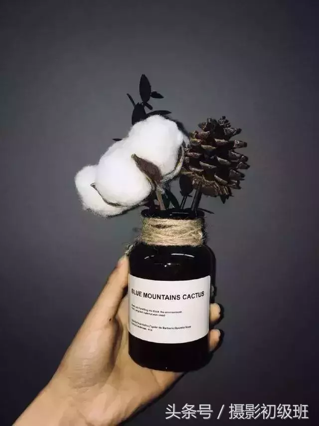 10个手机摄影技巧,教你用手机拍出大片-第16张图片-农百科 10个手机摄影技巧,教你用手机拍出大片-第16张图片-农百科