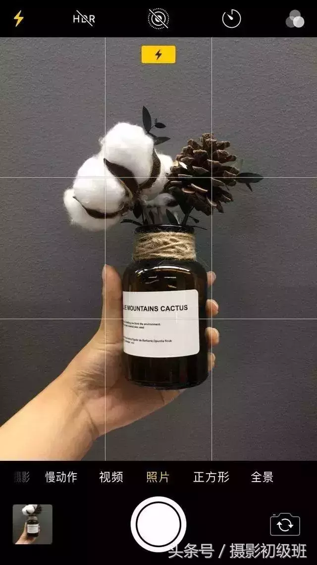 10个手机摄影技巧,教你用手机拍出大片-第14张图片-农百科 10个手机摄影技巧,教你用手机拍出大片-第14张图片-农百科