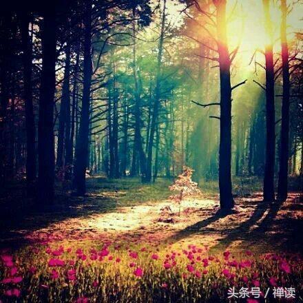 非常经典的句子：每过一段时间，都要将过去清零，让自己重新开始