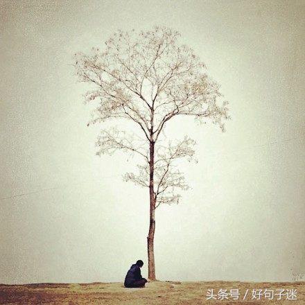 让自己静心的说说短语 静下心远离浮躁的句子图片
