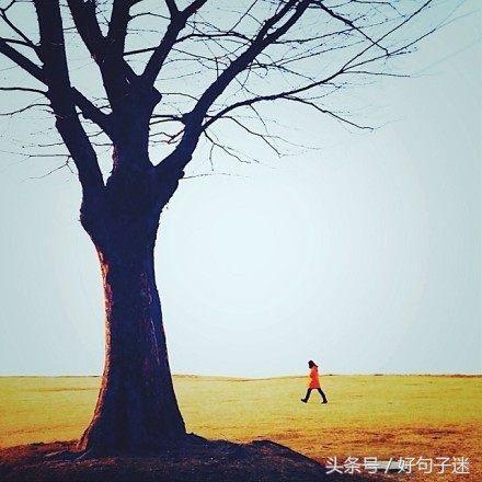 让自己静心的说说短语 静下心远离浮躁的句子图片