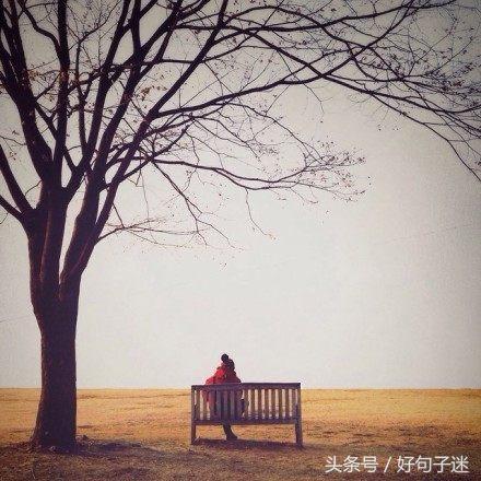心情平静的优雅句子 平静淡如水的个性签名图片
