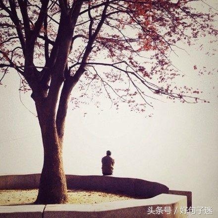 心情平静的优雅句子 平静淡如水的个性签名图片