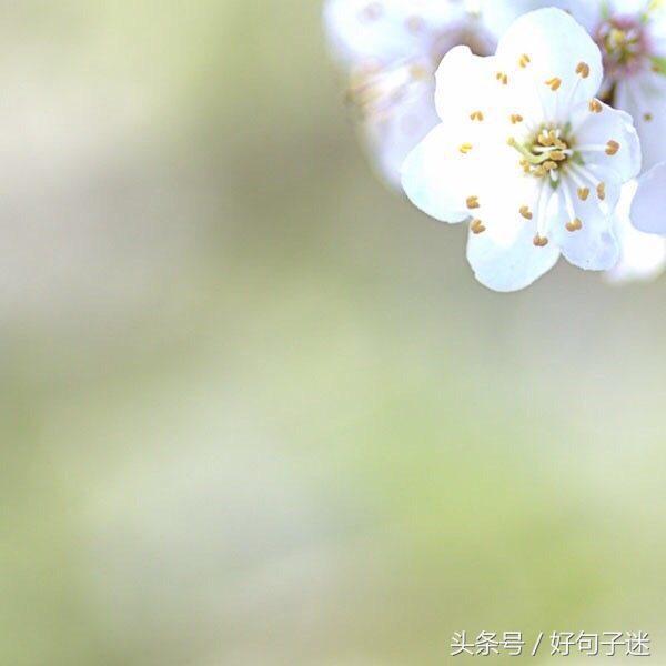 想念久别同学的说说 表现浓浓同学情的句子图片