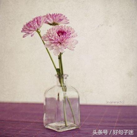 打动人心的爱情句子 很有深度的爱情金句图片
