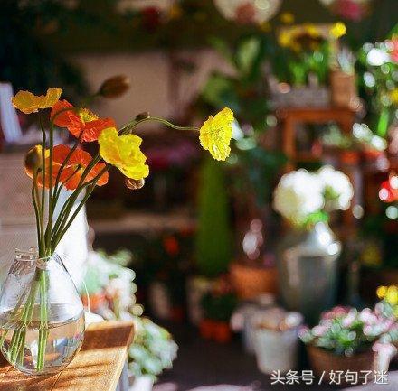 感慨人生无常的句子，句句精辟，拿去发朋友圈吧！