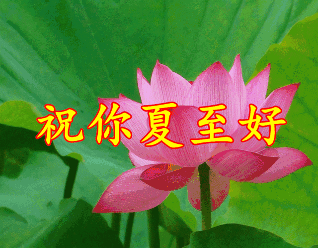 夏至节气祝福语、祝福短信,夏至的问候图片
