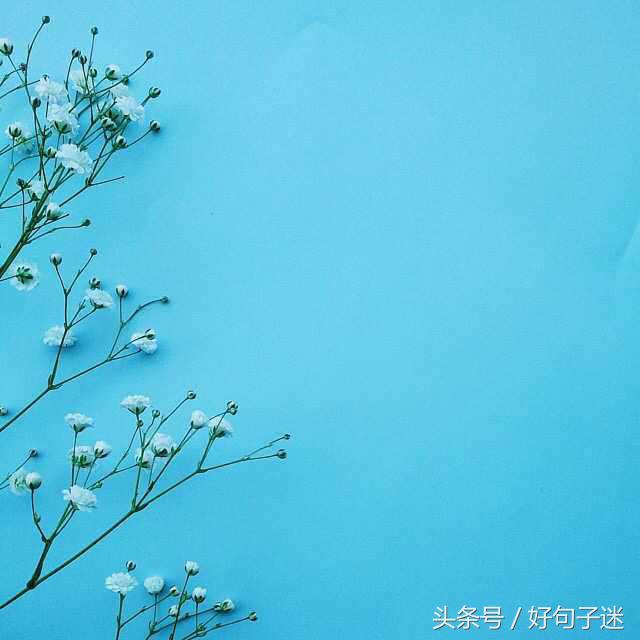 唯美好句子大全 笑而不语是一种豁达，痛而不言是一种修养图片