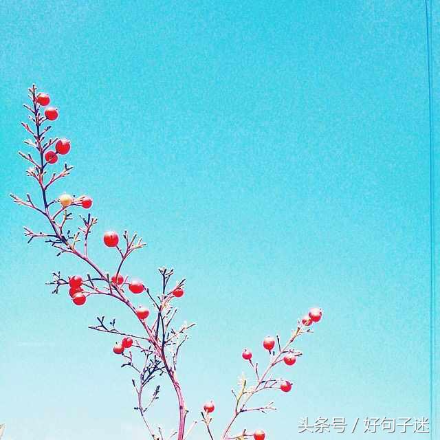 唯美好句子大全 笑而不语是一种豁达，痛而不言是一种修养图片