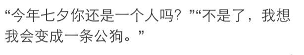 一句话证明你是单身狗，听网友的回答