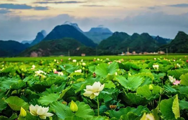 12首夏日经典诗词，带着孩子在诗词中找寻夏日最美的模样-第3张图片-非凡网