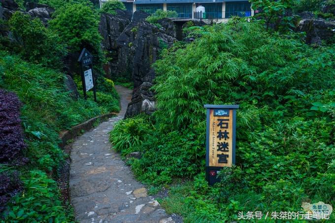 打卡重庆两个网红景点：一个差点治愈恐高症，一个夜色美的不像话