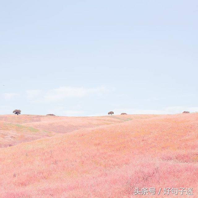 触动人心弦的句子，句句温暖走心，送给需要安慰的人图片