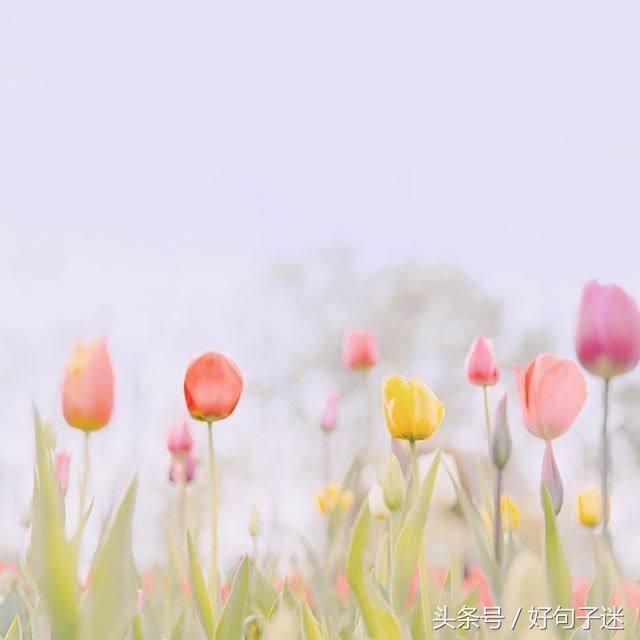 触动人心弦的句子，句句温暖走心，送给需要安慰的人图片