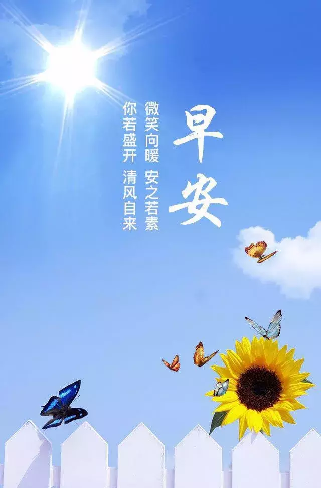 朋友圈最全最美早安图片大全 早安阳光正能量语录图片